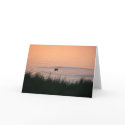 Duck a l'Orange Greeting Card w Bonus