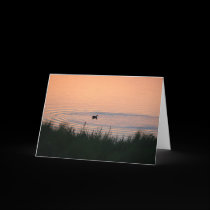 Duck a l'Orange Greeting Card w Bonus