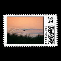 Duck a l'Orange Postage Stamp
