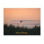 Duck a l'Orange Postcard