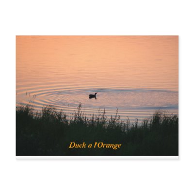 Duck a l'Orange Postcard by nightlifesommelier