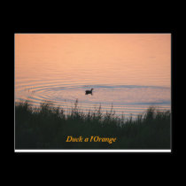 Duck a l'Orange postcards
