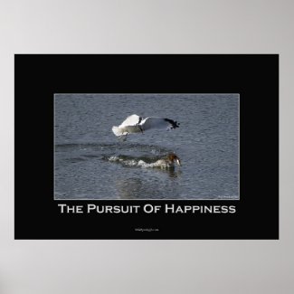 Duck and Gull Motivational Poster print