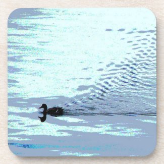 Duck and Ripples Coaster