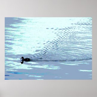 Duck and Ripples Poster