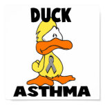 Duck Asthma