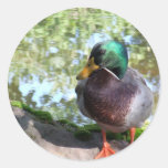 Duck Attitude Round Sticker
