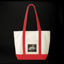 Duck Bag bags