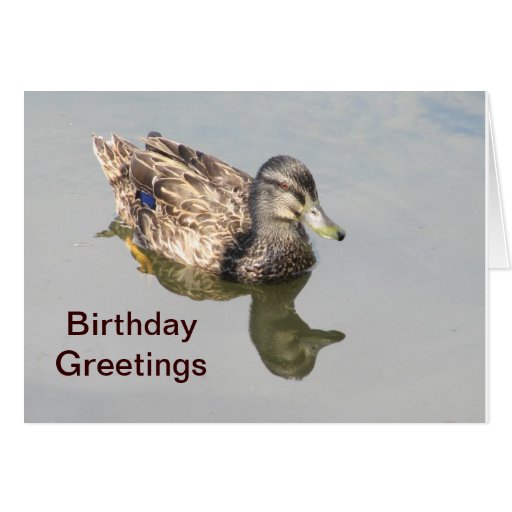 duck birthday cards