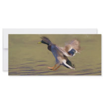 Duck BookMark Rack Card Design