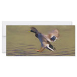 Duck BookMark Rack Card Design