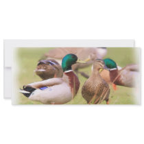 Duck BookMark Rack Card