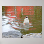 Duck Butt posters