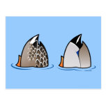 Customizable Duck Butts Postcard