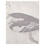 Duck By Pisanello (Best Quality) Letterhead Design