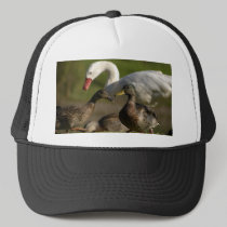 Duck Convention hats