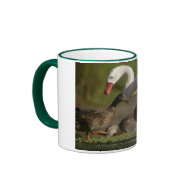 Duck Convention mug