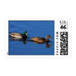 Duck Couple Postage