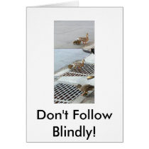 duck, Don't Follow Blindly! cards
