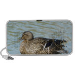 Duck Doodle Speaker
