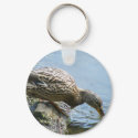 Duck Drinking Water keychain