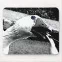 Duck Duck Goose mousepads by davidalmeda Duck Duck Goose mousepads