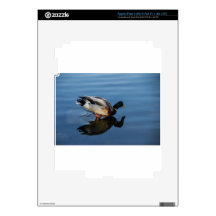 Duck, Duck...... iPad 3 Decals