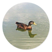 Duck Envelope Seal Sticker by TagGal Duck Envelope Seal Sticker