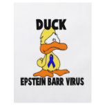 Duck Epstein-Barr Virus flyers