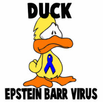 Duck Epstein-Barr Virus Cut Outs