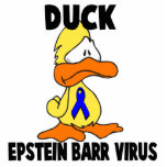 Duck Epstein-Barr Virus Cut Outs