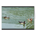 Duck Family Card