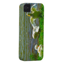 Duck Family Case-Mate iPhone 4 Case