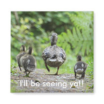 Duck Family magnets