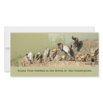 Duck Family photo cards by livart Duck Family photo cards