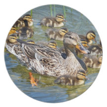 Duck Family Plate