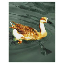 Duck flyers
