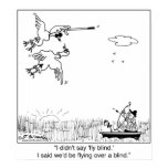Duck Flying Blind posters
