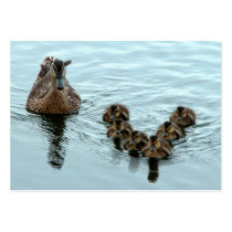 Duck formation business cards by toots1 Duck formation business cards