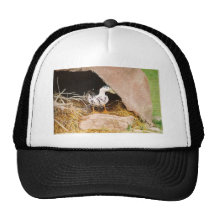 Duck Guarding Cave Hat