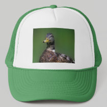 Duck hats