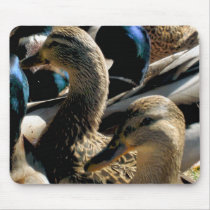 duck heads mousepads