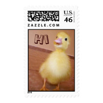 Duck Hi Postage