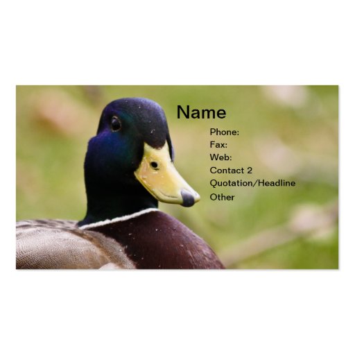 Duck Hunting Business Card