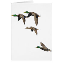 Duck Hunting Mallards in Flight Card