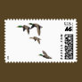 Duck Hunting Mallards in Flight