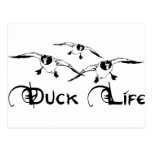 DUCK HUNTING POSTCARD