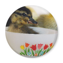 Duck in a Teacup magnets by angelandspot Duck in a Teacup magnets