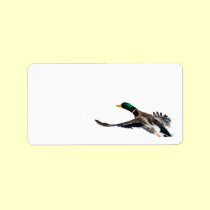duck in flight labels