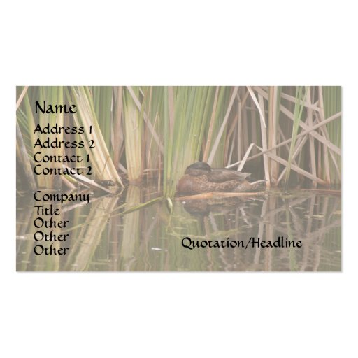 Duck in Reeds Business Card